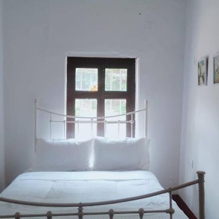 A Quaint Cottage With Rajah'S Seat View. Madikeri Exteriér fotografie
