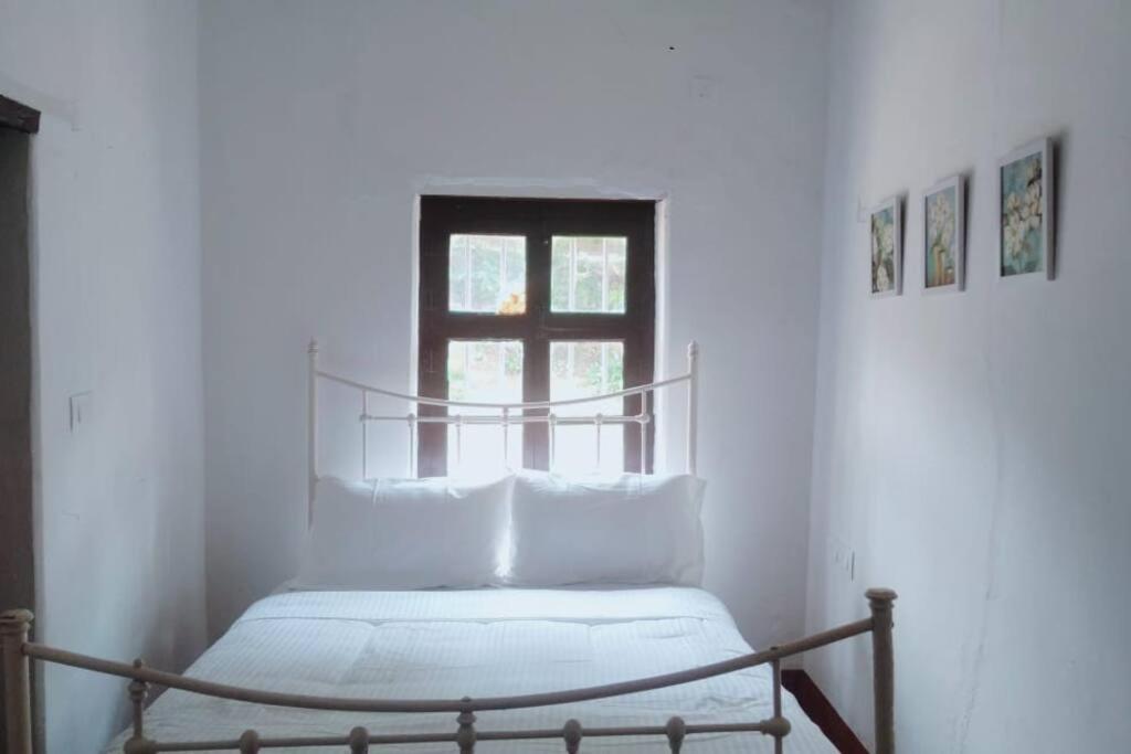 A Quaint Cottage With Rajah'S Seat View. Madikeri Exteriér fotografie